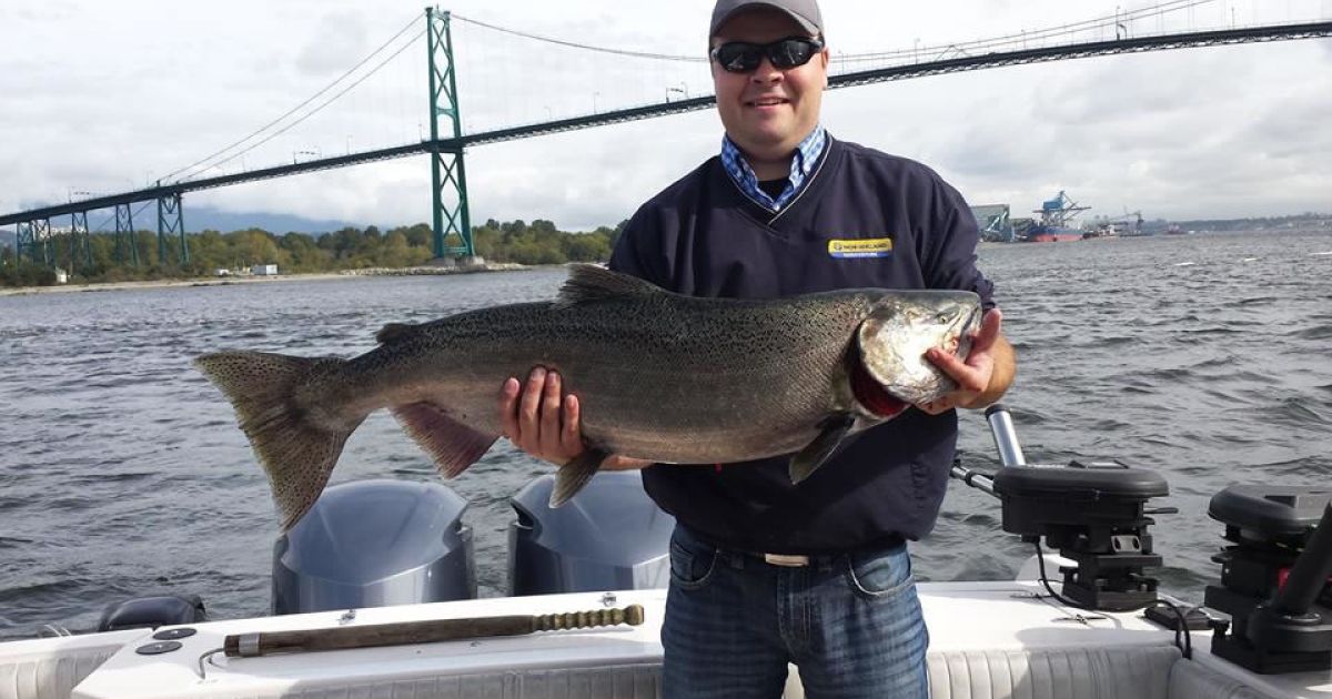 Vancouver Fishing Report, October 7th Bon Chovy Salmon